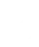 Fortuna Aurora - SUMMIT TRADING SECURITY